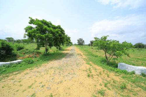 4 east city, sector 5, block J (1)